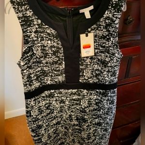 NWT Dana Buchman Career Dress